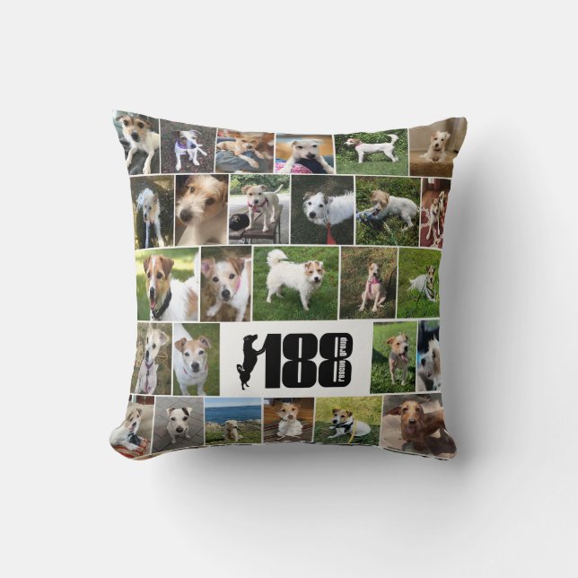 The 188 Rescue Group Poster Pillow (Front)