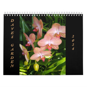 The 2024 Dave's Garden Photo Contest winners calen Calendar