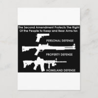 The 2nd Amendment Protects...