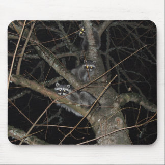 The 3 Bandits Mouse Pad