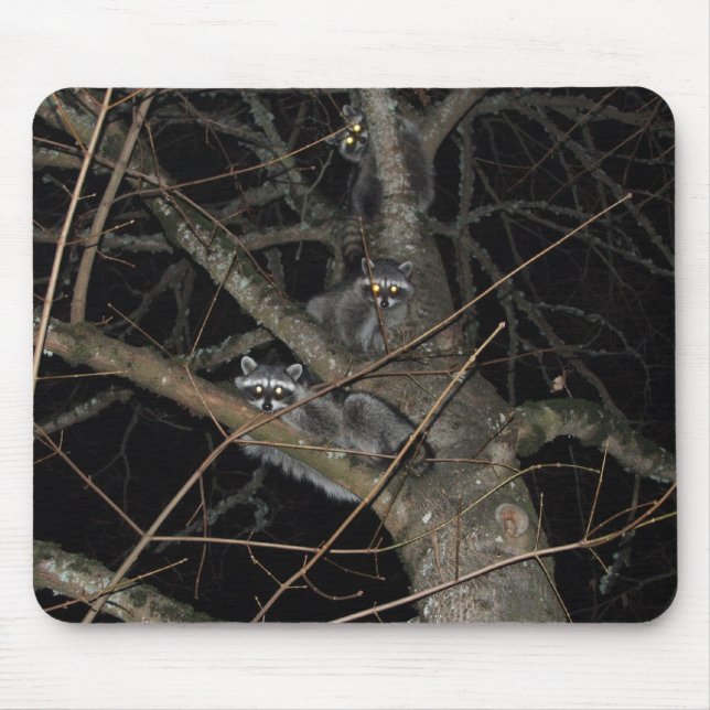 The 3 Bandits Mouse Pad (Front)