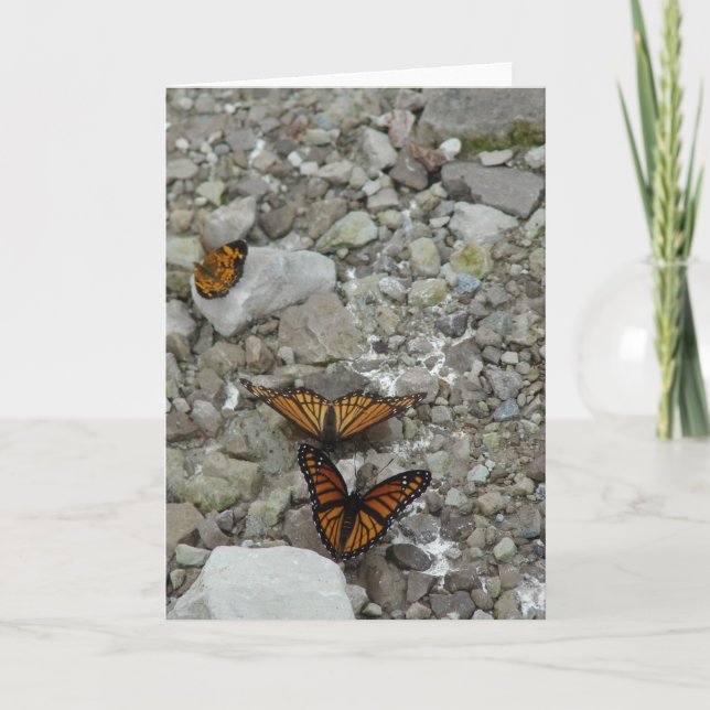The 3 Butterflies All Occasions  Card (Front)