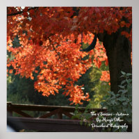 The 4 Seasons - Autumn Poster