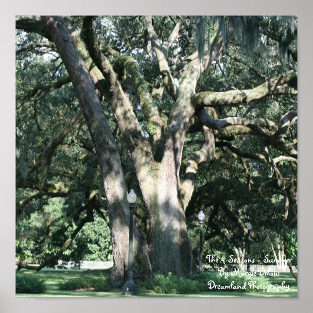 The 4 Seasons-Summer Poster (Front)