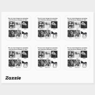 The 6 most dangerous parasites & infectious 2021 square sticker