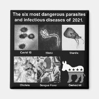 The 6 most dangerous parasites & infectious