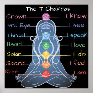 The 7 Chakras  24x24" Poster