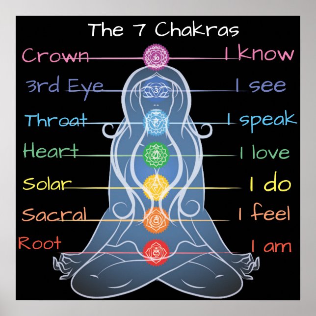 The 7 Chakras  24x24" Poster (Front)