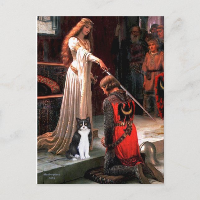 The Accolade - Black and White Cat Postcard (Front)