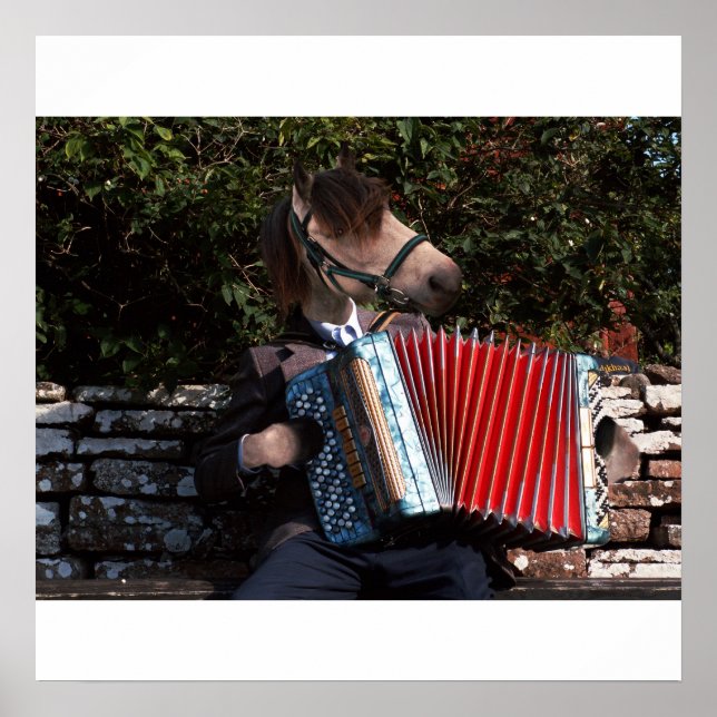 The accordian player poster (Front)