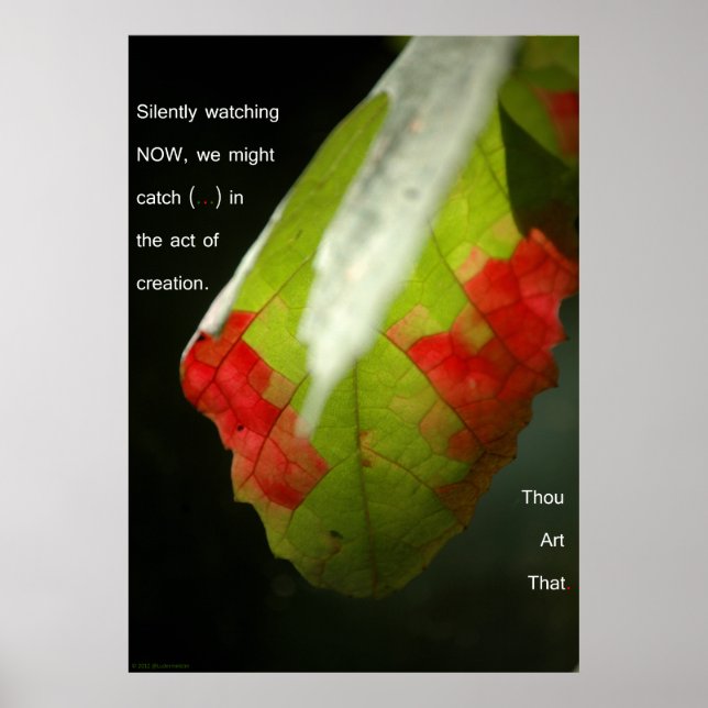 The act of creation poster (Front)