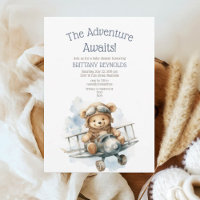 The Adventure Awaits Aeroplane Bear Baby Shower