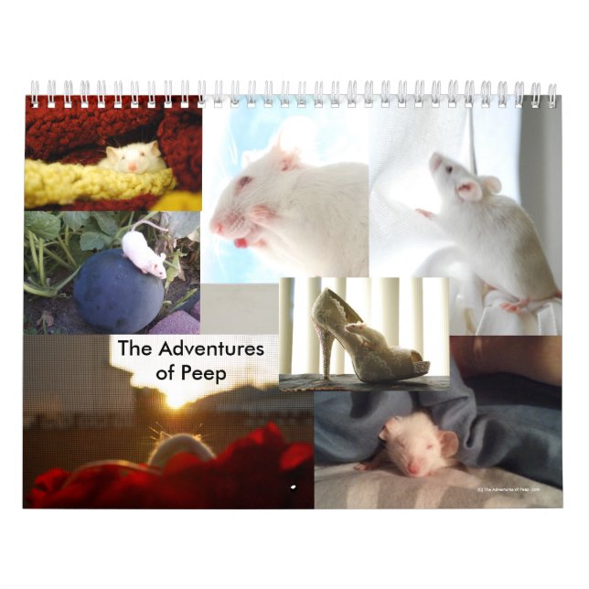 The Adventures of Peep Calendar (Cover)