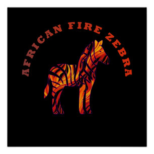 The African Fire Zebra  Poster