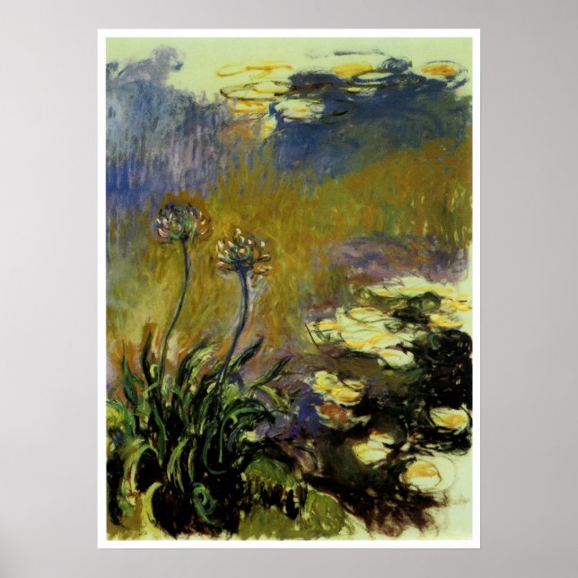 The Agapanthus Poster (Front)