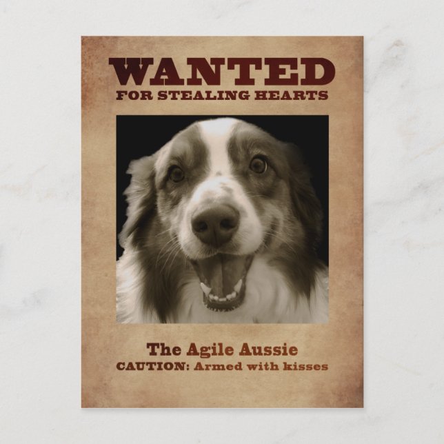 The Agile Aussie Postcard (Front)