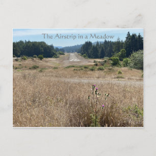 The Airstrip in a Meadow Postcard