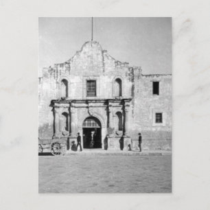 The Alamo in San Antonio, TX  1 Postcard