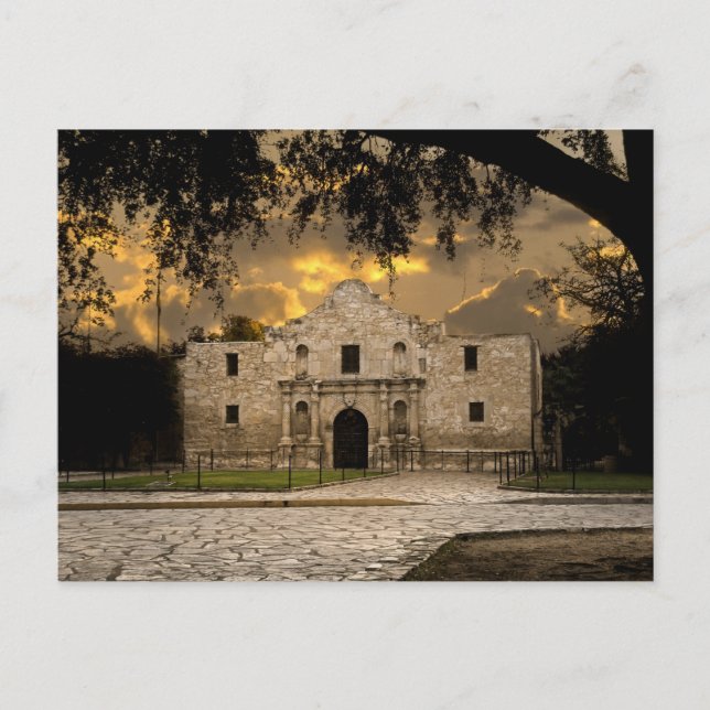 The Alamo Postcard (Front)