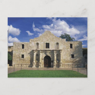 The Alamo Postcard