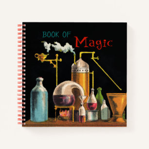The Alchemist Mad Scientist Notebook