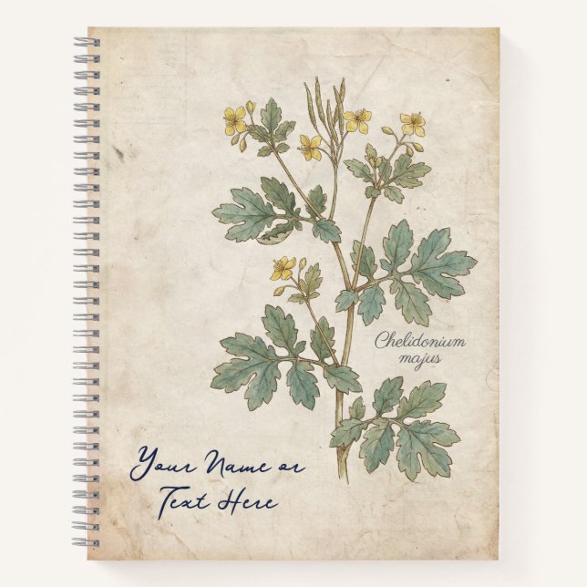 The Alchemist’s Bloom: Chelidonium Majus Botanical Notebook (Front)