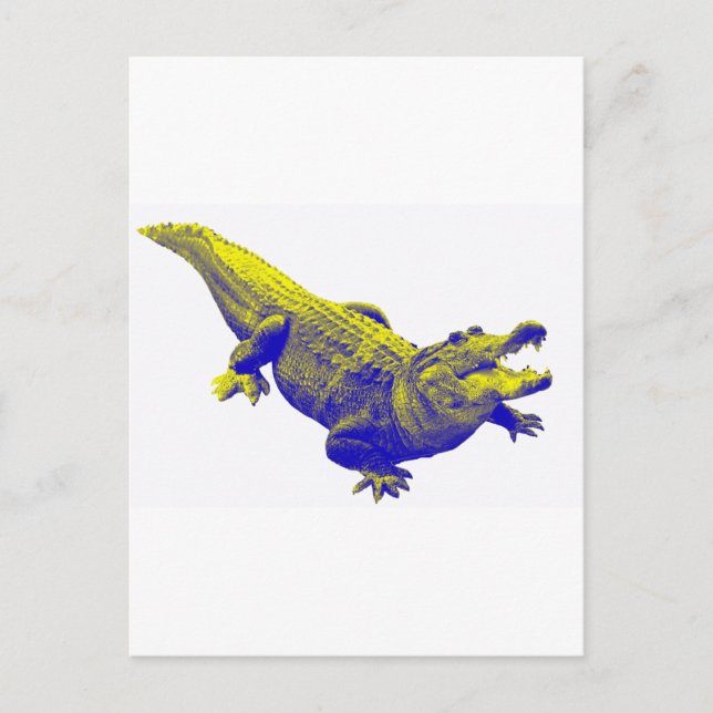 THE ALLIGATOR LIGHT POSTCARD (Front)