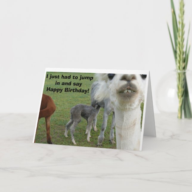 The Alpaca Birthday Card - Nature Interrupted (Front)