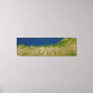 The Alpine fault along the west coast Canvas Print