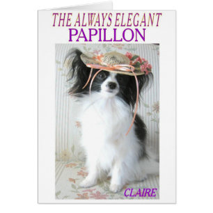 THE ALWAYS ELEGANT PAPILLON