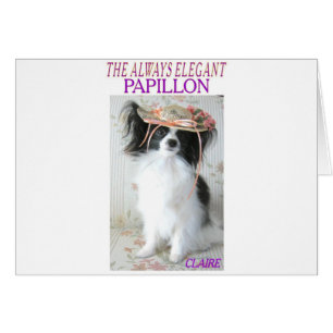 THE ALWAYS ELEGANT PAPILLON