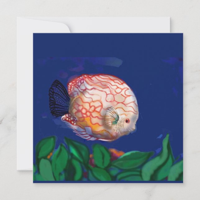 The amazing fish (Front)