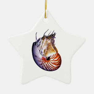 THE AMAZING NAUTILUS CERAMIC TREE DECORATION