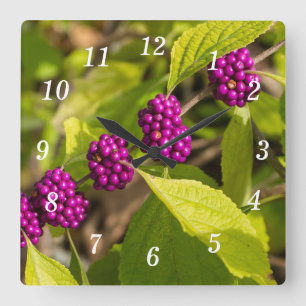 The American Beautyberry Wall Clock