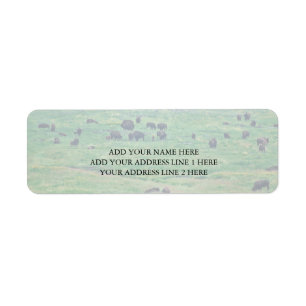 The American Bison