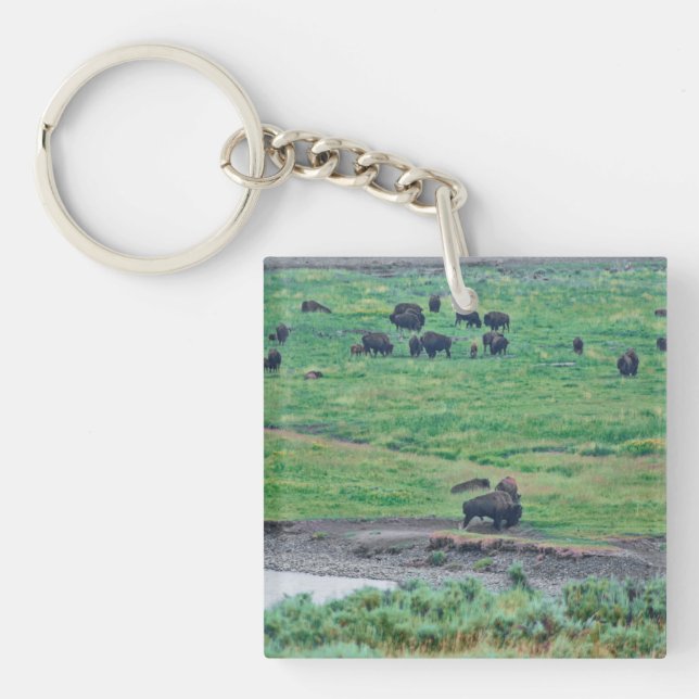 The American Bison Key Ring (Front)