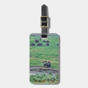 The American Bison Luggage Tag