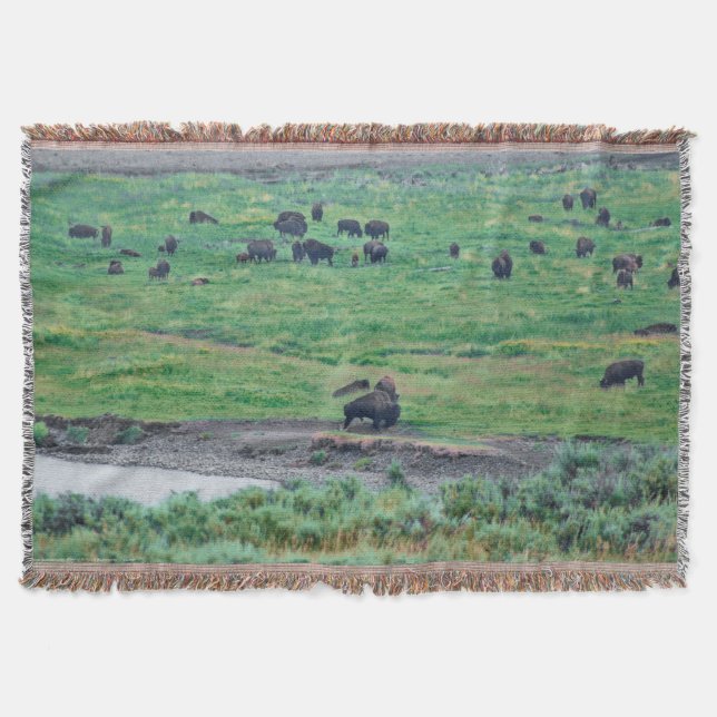 The American Bison Throw Blanket (Front)