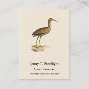 The American Bittern (Botaurus lentiginosus) Bird Business Card