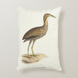 The American Bittern (Botaurus lentiginosus) Bird  Decorative Cushion