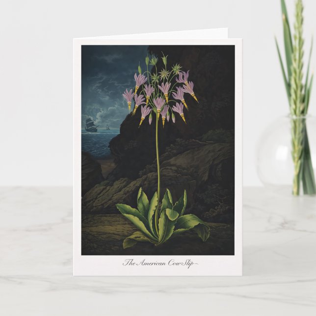 The American Cow-Slip — Modern Botanical Reinterpr Card (Front)