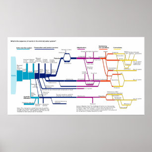 The American Criminal Justice System Flowchart Poster