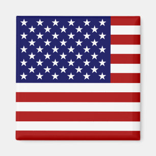 The American Flag Magnet