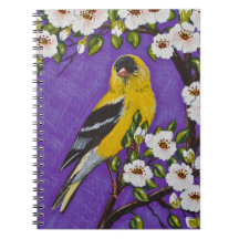 The American Goldfinch