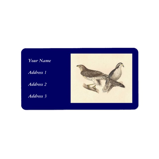 The American Goshawk	(Astur atricapillus) Label (Front)