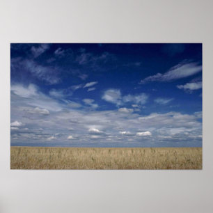The American Prairies Poster