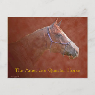 The American Quarter Horse Postcard