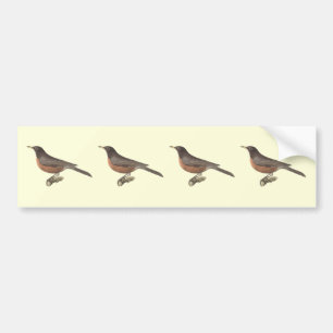 The American Robin (Turdus migratorius) NY Birds Bumper Sticker