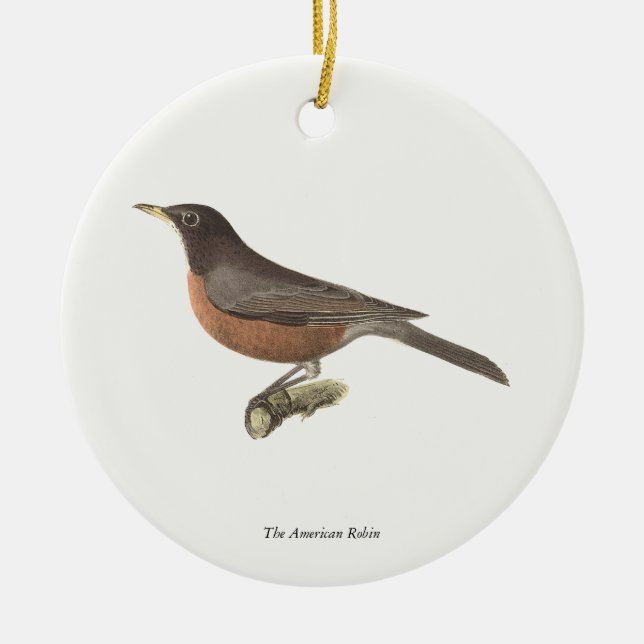 The American Robin (Turdus migratorius) NY Birds Ceramic Tree Decoration (Front)