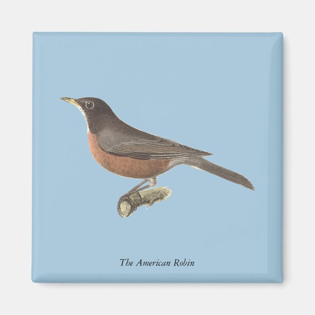 The American Robin (Turdus migratorius) NY Birds Magnet (Front)